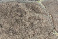 Farm and Ranch for sale in Clay County, Kentucky