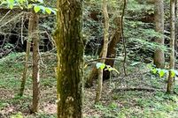 Land for sale in Lee County, Kentucky