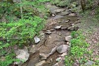Farm and Ranch for sale in Leslie County, Kentucky