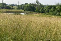 Land for sale in Pulaski County, Kentucky