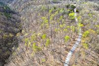 Farm and Ranch for sale in Wayne County, Kentucky