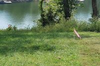 Land for sale in Garrard County, Kentucky