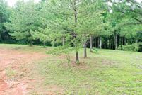 Land for sale in Monroe County, Kentucky