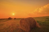 Land for sale in Anderson County, Kentucky