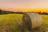 Land for sale in Washington County, Kentucky