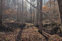 Land for sale in Powell County, Kentucky