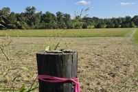 Land for sale in Madison County, Kentucky