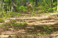 Land for sale in Powell County, Kentucky