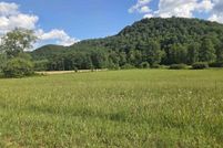 Undeveloped Land for sale in Lewis County, Kentucky