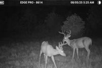 Land for sale in Morgan County, Kentucky