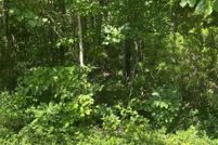 Land for sale in Wayne County, Kentucky