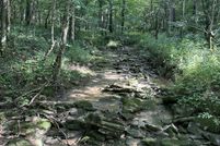 Land for sale in Harrison County, Kentucky