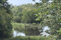 Land for sale in Nicholas County, Kentucky