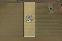 Land for sale in Hale County, Texas