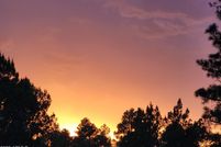 Farm and Ranch for sale in Navajo County, Arizona