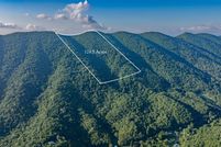 Undeveloped Land for sale in Washington County, Virginia