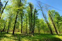 Homesite for sale in Hawkins County, Tennessee