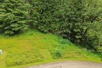 Undeveloped Land for sale in Washington County, Virginia