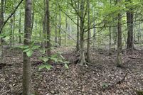 Undeveloped Land for sale in Cocke County, Tennessee