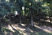 Land for sale in Greene County, Tennessee