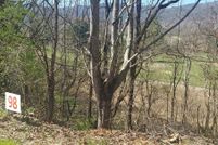 Undeveloped Land for sale in Unicoi County, Tennessee