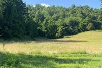 Undeveloped Land for sale in Washington County, Virginia