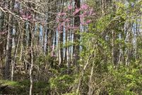 Undeveloped Land for sale in Wise County, Virginia