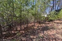 Undeveloped Land for sale in Smyth County, Virginia