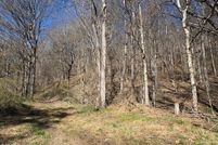 Land for sale in Smyth County, Virginia