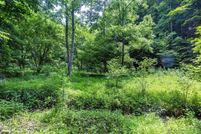 Undeveloped Land for sale in Washington County, Virginia