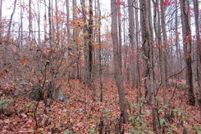 Land for sale in Washington County, Virginia