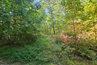 Undeveloped Land for sale in Tazewell County, Virginia