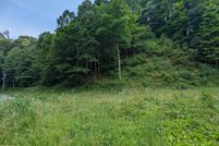 Undeveloped Land for sale in Scott County, Virginia