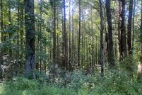 Land for sale in Unicoi County, Tennessee