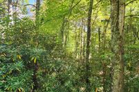 Timberland Property for sale in Johnson County, Tennessee