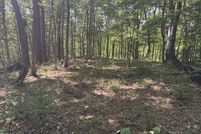 Undeveloped Land for sale in Dickenson County, Virginia