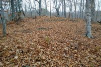 Land for sale in Hancock County, Tennessee