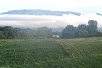 Land for sale in Greene County, Tennessee