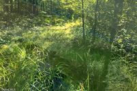 Undeveloped Land for sale in Montgomery County, New York