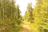 Undeveloped Land for sale in Allegany County, New York