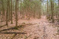 Undeveloped Land for sale in Schoharie County, New York