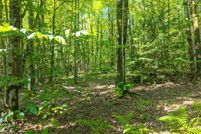 Land for sale in Otsego County, New York