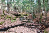 Undeveloped Land for sale in Schoharie County, New York