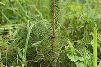 Land for sale in Rensselaer County, New York