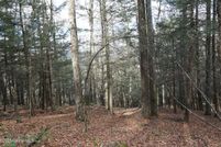 Land for sale in Greene County, New York
