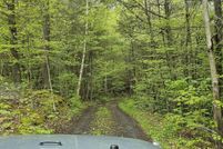 Undeveloped Land for sale in Schoharie County, New York