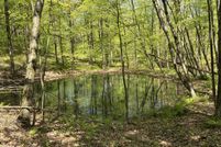 Land for sale in Columbia County, New York