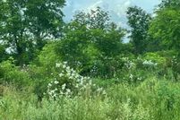 Land for sale in Albany County, New York