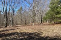 Land for sale in Delaware County, New York