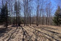 Undeveloped Land for sale in Delaware County, New York